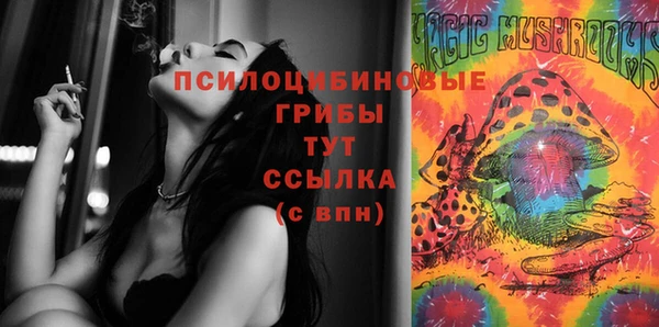 дурь Надым